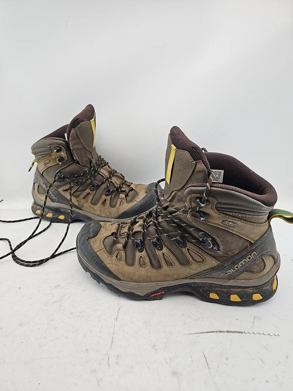 Salomon Quest 4D GTX Hiking Boots